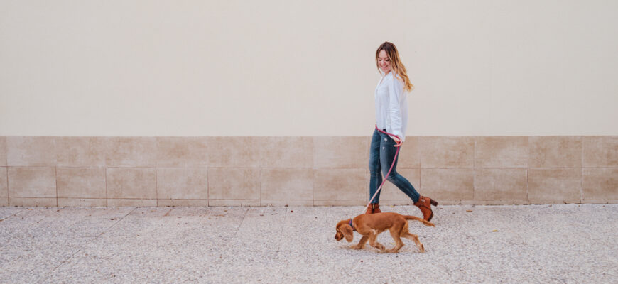 Young,Woman,At,The,Street,Walking,With,Her,Cute,Cocker